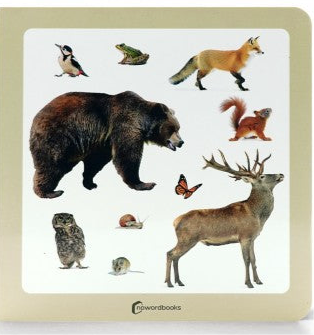 Libro de fotografías Nowordbooks · animales del bosque 2