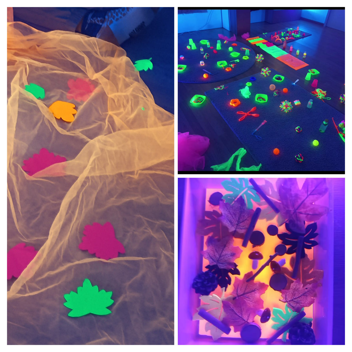 Taller sensorial con luz negra BOSQUE ENCANTADO · 24 de OCTUBRE de 2026