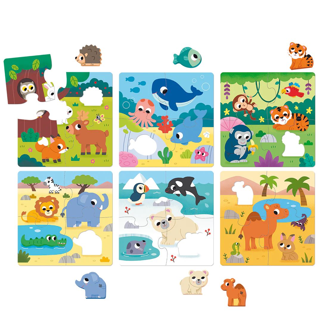 6 habitat puzzle