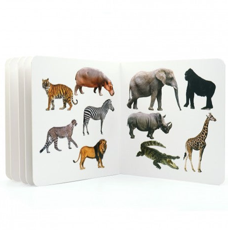 Libro de fotografías Nowordbooks · animales salvajes 3