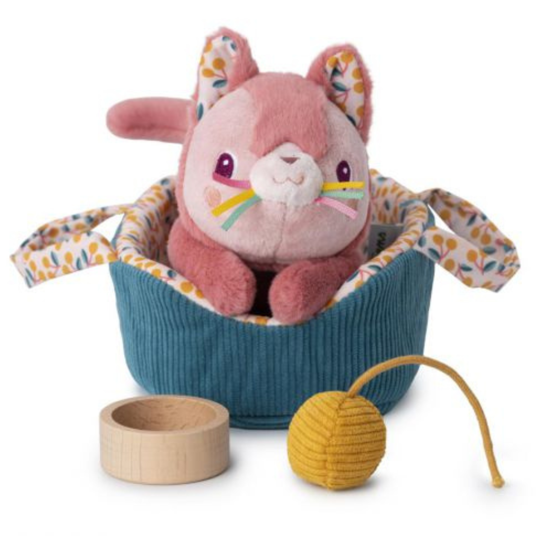 Jeanne el gato y su cesta