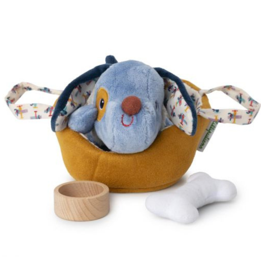 Jules el perro y su cesta