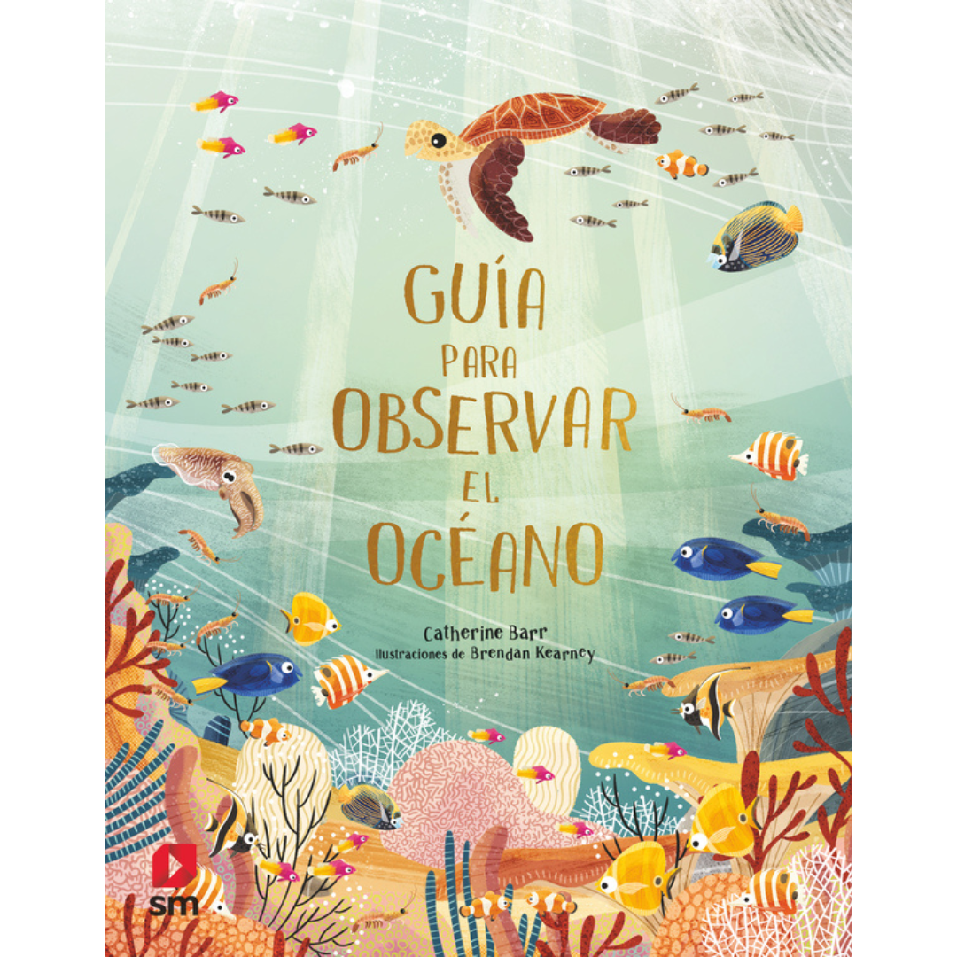 Guía para observar el océano
