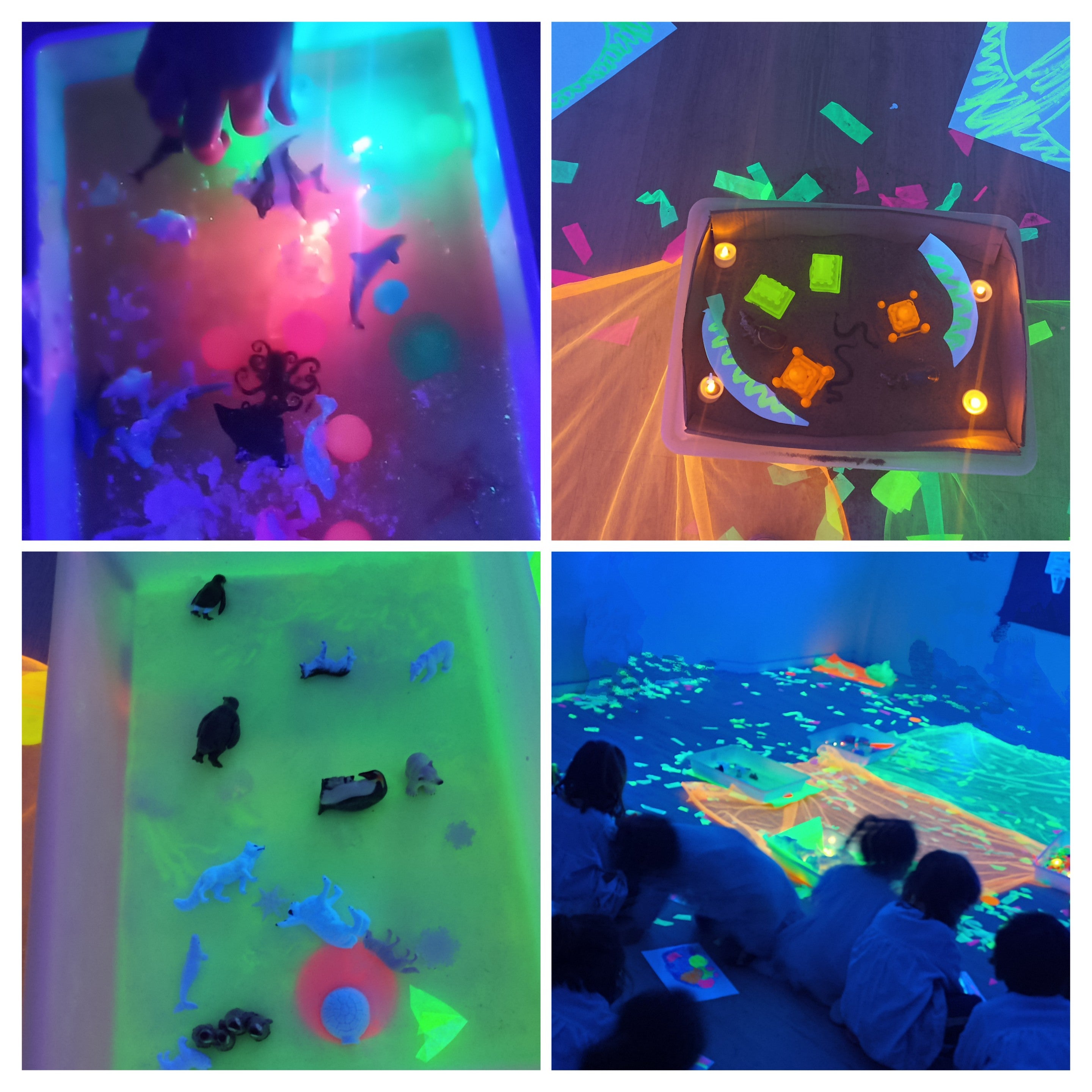 Taller sensorial con luz negra SECRETOS BRILLANTES DE OTOÑO · 22 de NOVIEMBRE de 2025