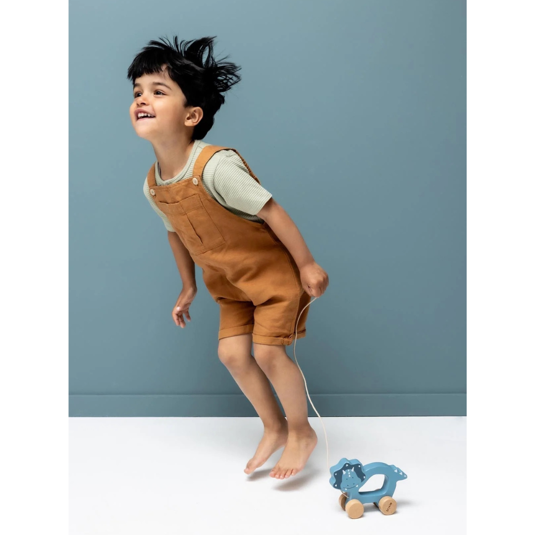 Arrastre de madera TRIXIE · mr. triceratops