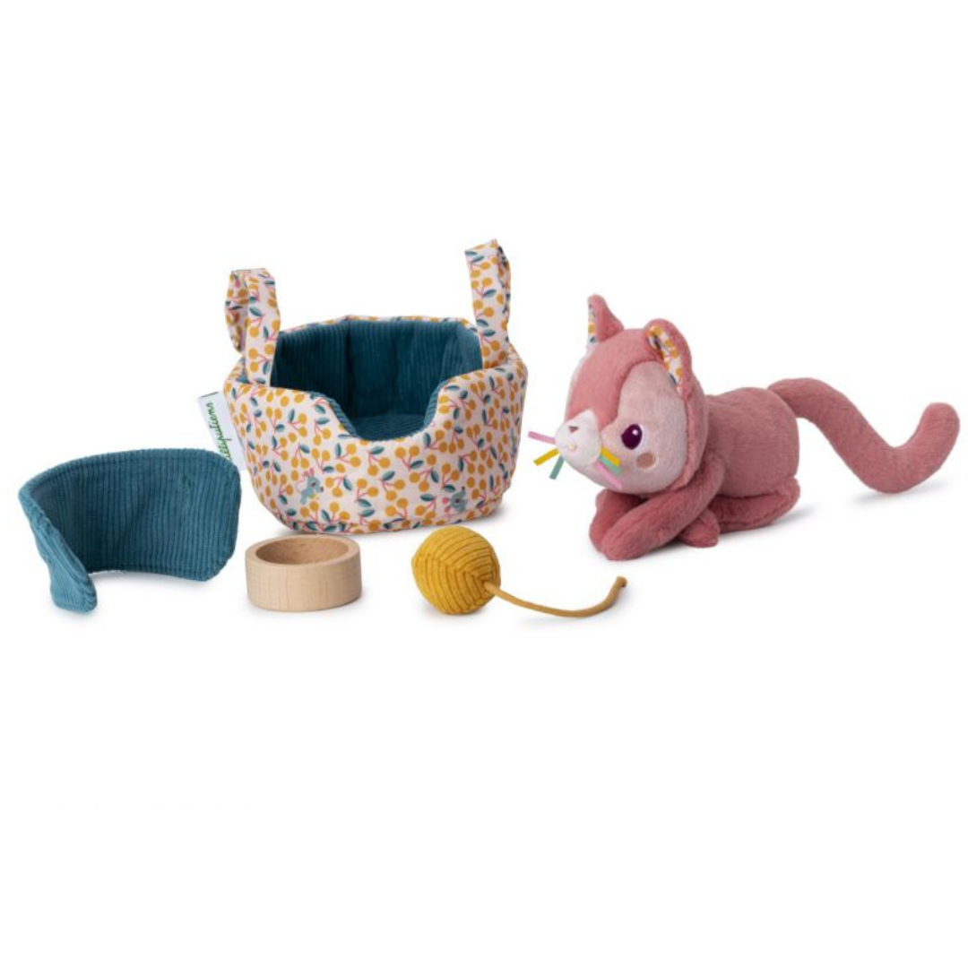 Jeanne el gato y su cesta