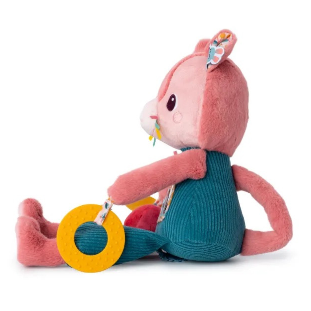 Jeanne, el gato multiactividad