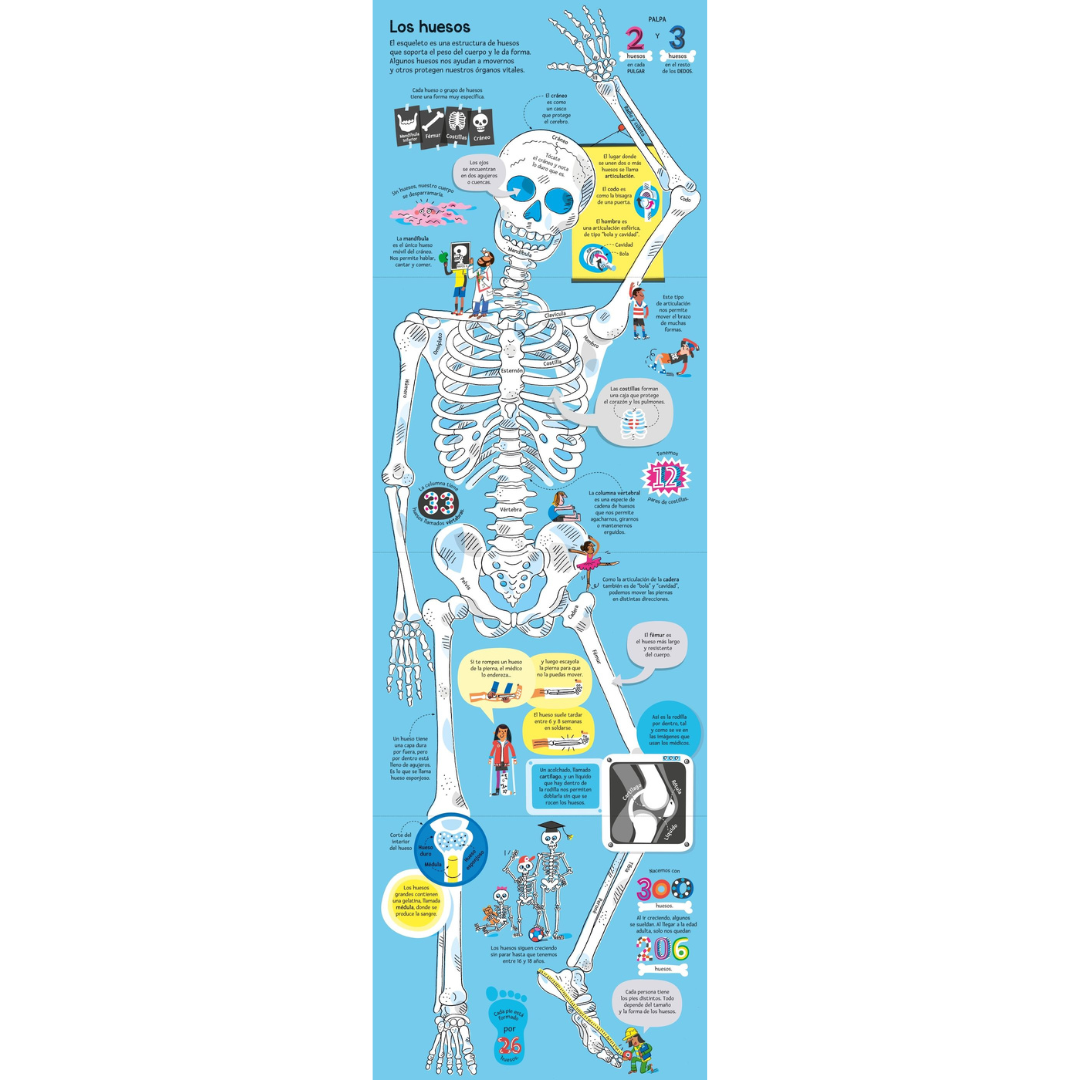 El gran libro del cuerpo humano