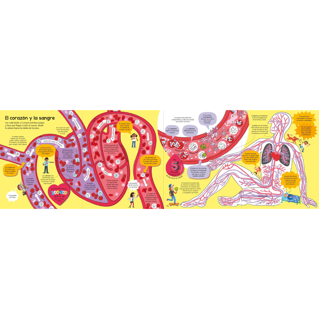 El gran libro del cuerpo humano