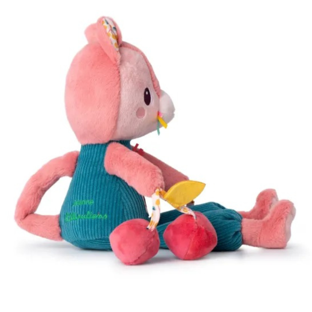 Jeanne, el gato multiactividad
