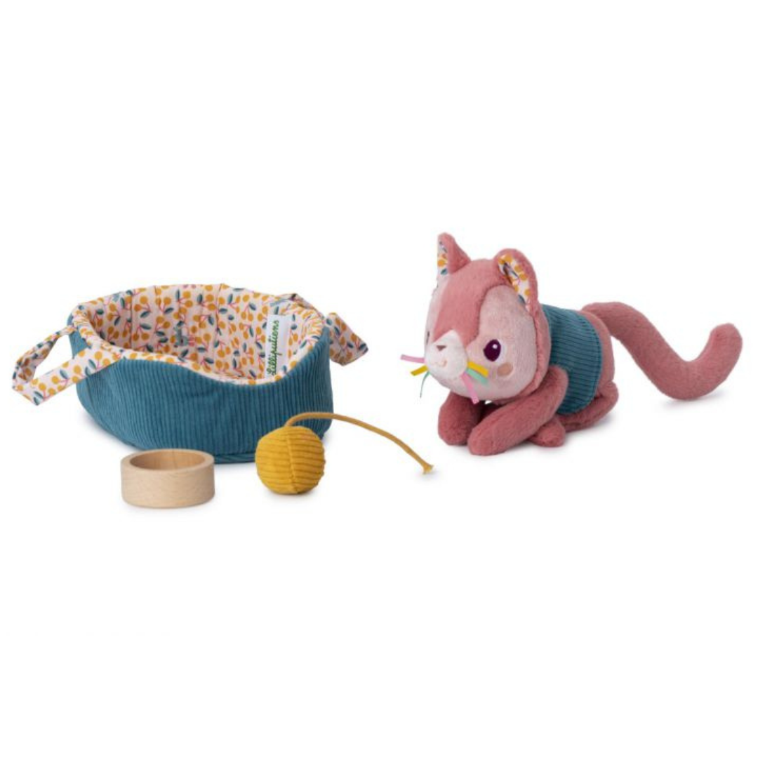 Jeanne el gato y su cesta