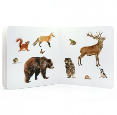 Libro de fotografías Nowordbooks · animales del bosque 2