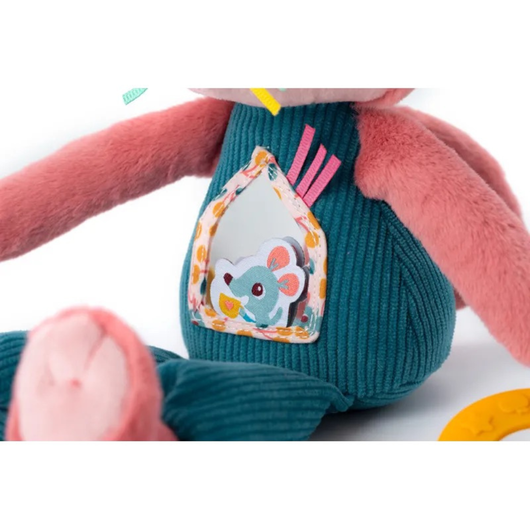 Jeanne, el gato multiactividad