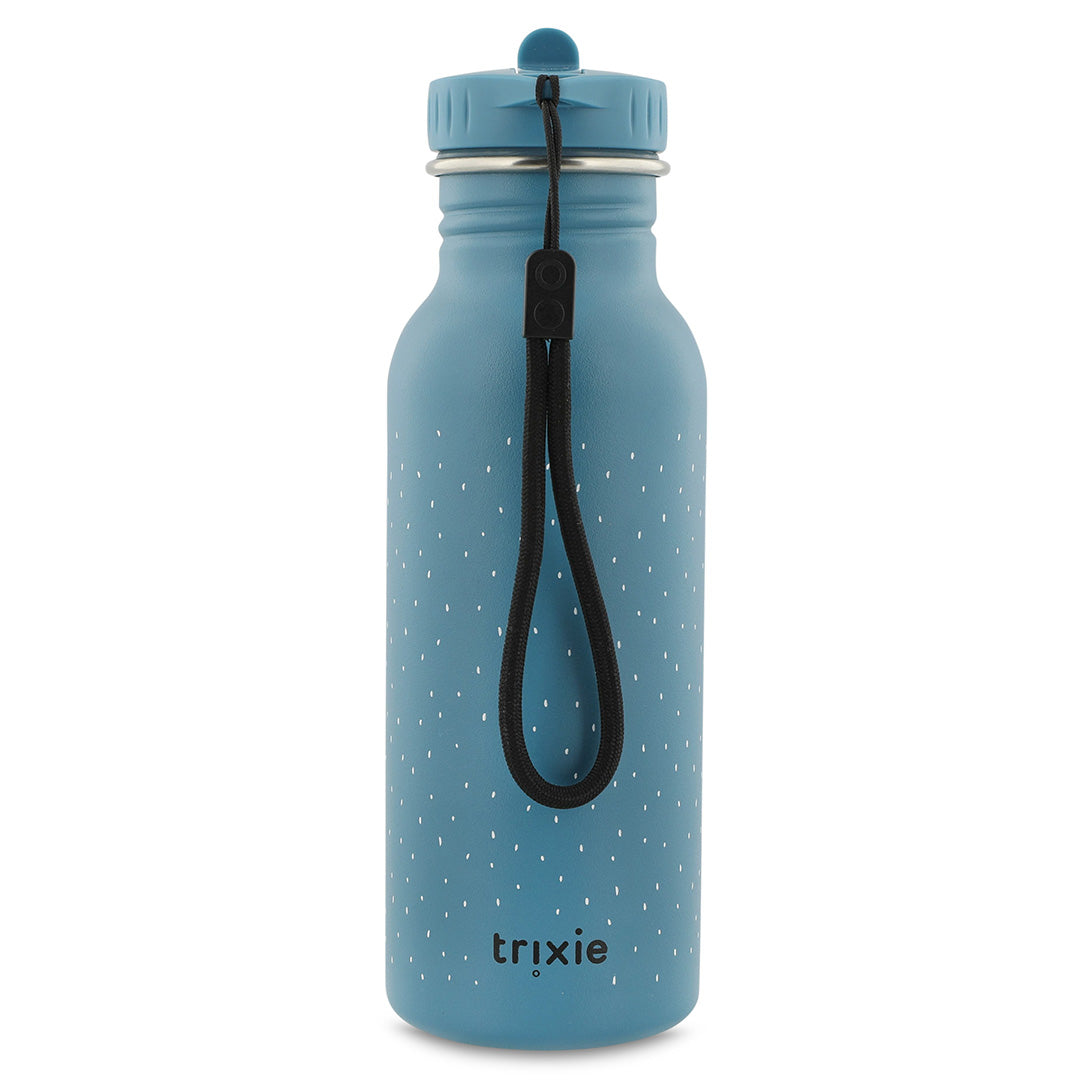Botella de acero TRIXIE 500ml. · triceratops