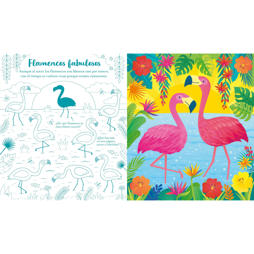 Rasca-rasca con actividades: animales