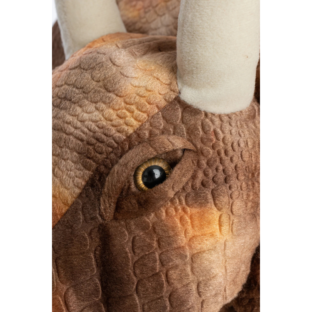 Capa de triceratops grandasaurus con garras
