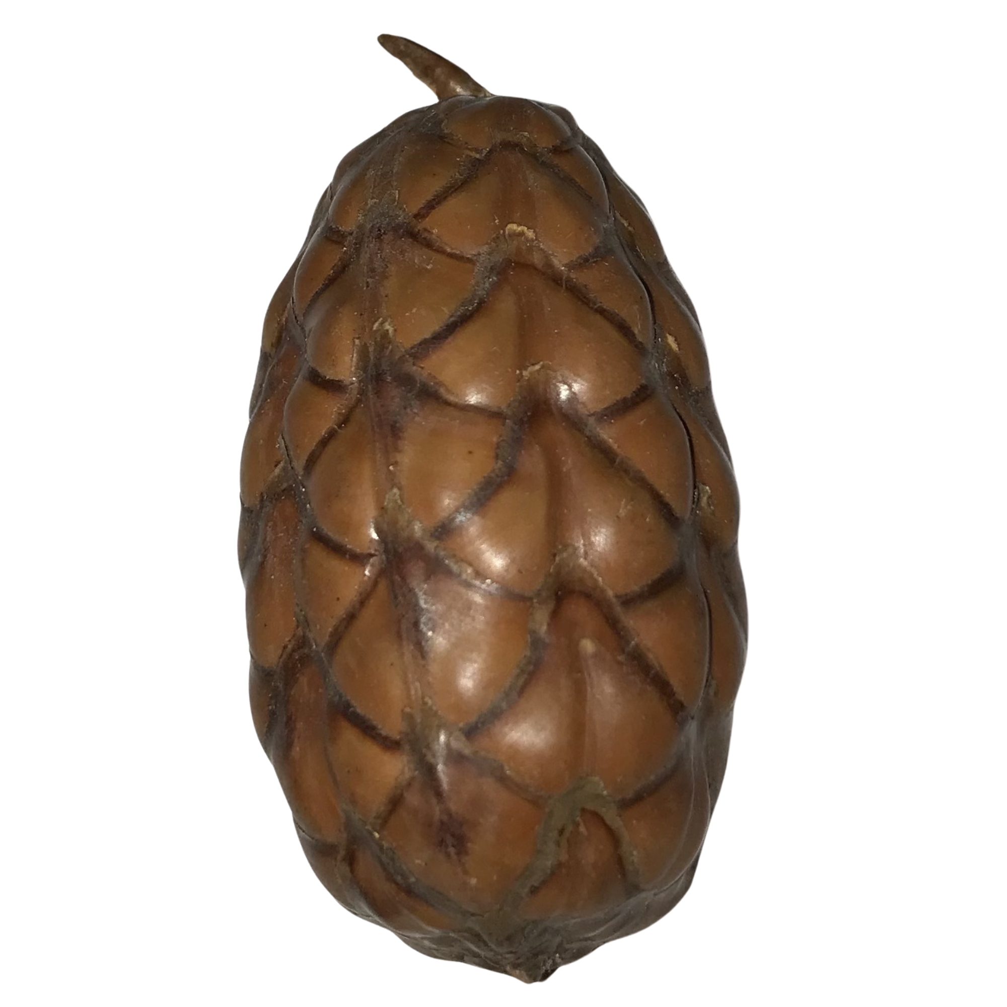 Piña cerrada uxi
