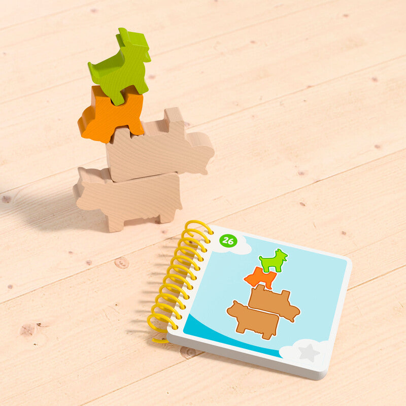 Logic games: Bao´s cloudland