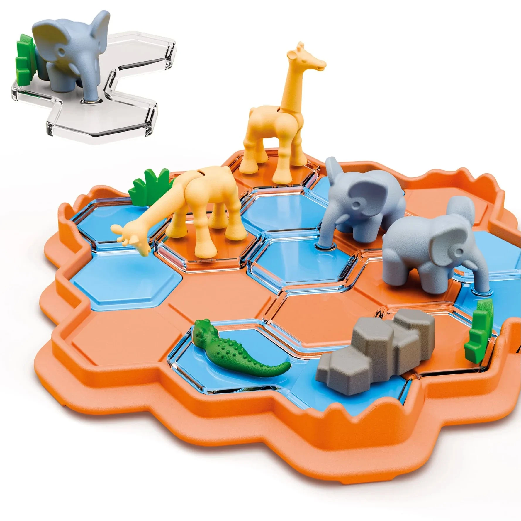 Croco safari