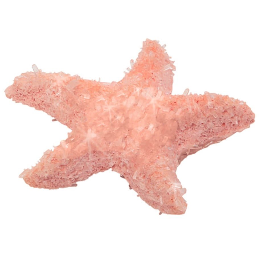 Creando Cristales de Animales · PhänoMINT - La Chata Merengüela
