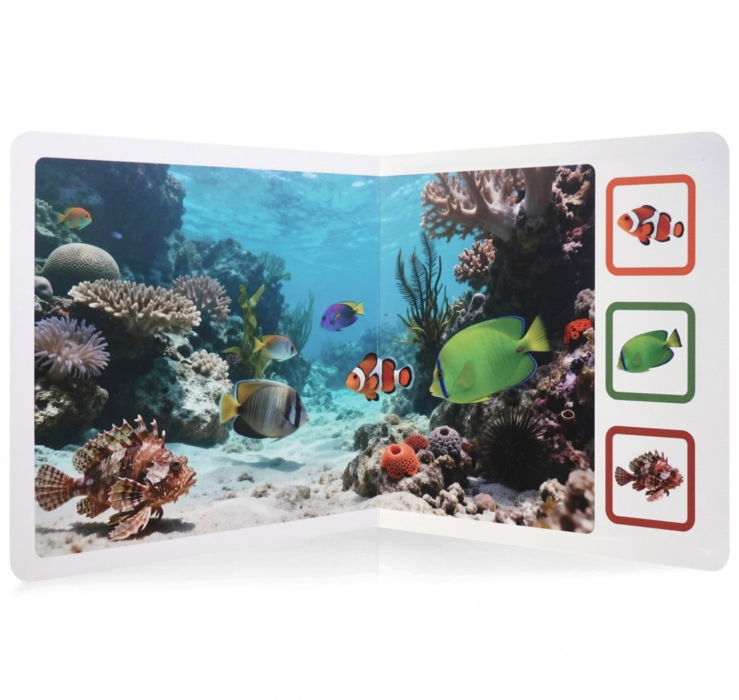 Encuéntrame en el mar