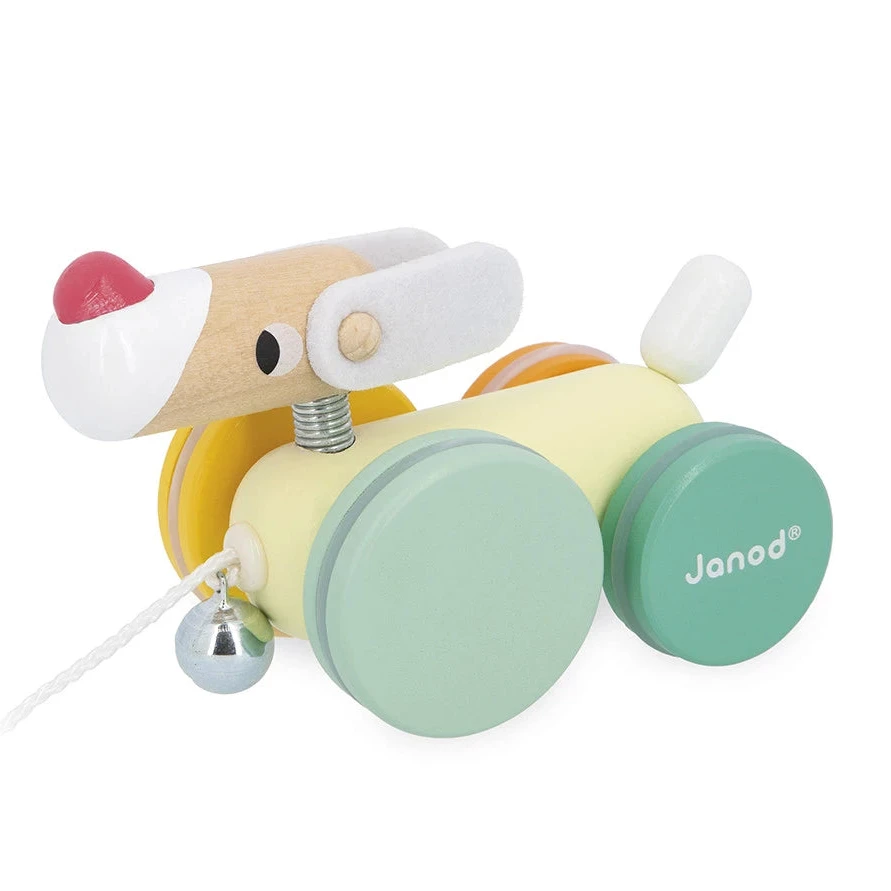 Perro ZIGOLOS para pasear