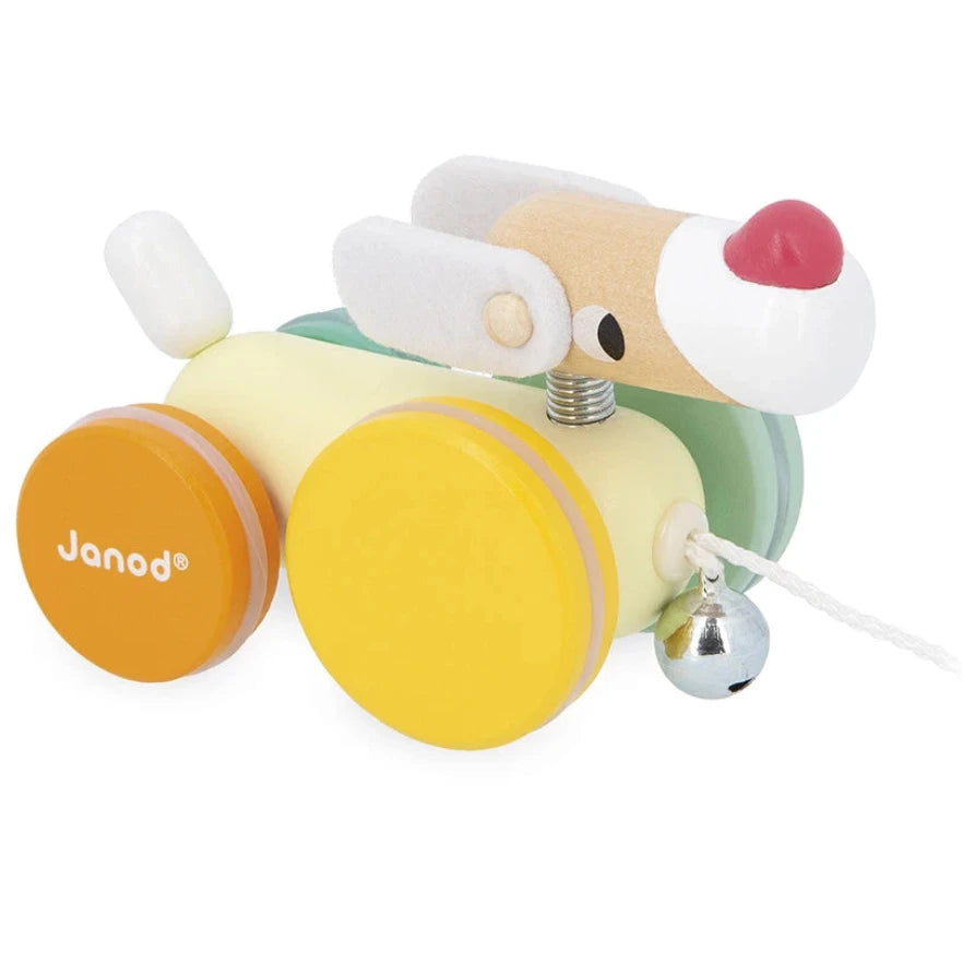 Perro ZIGOLOS para pasear