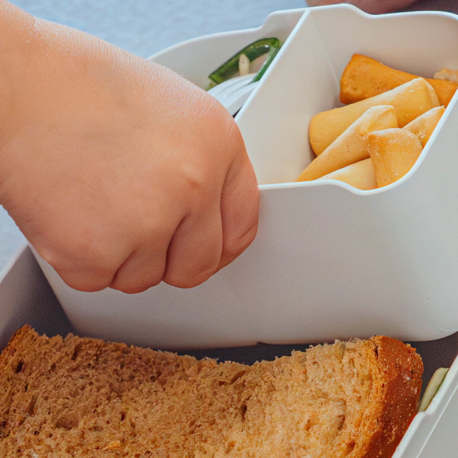 Caja almuerzo MEPAL · forest friends