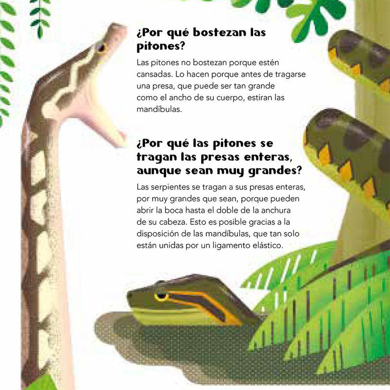 200 preguntas y respuestas sobre animales - La Chata Merengüela