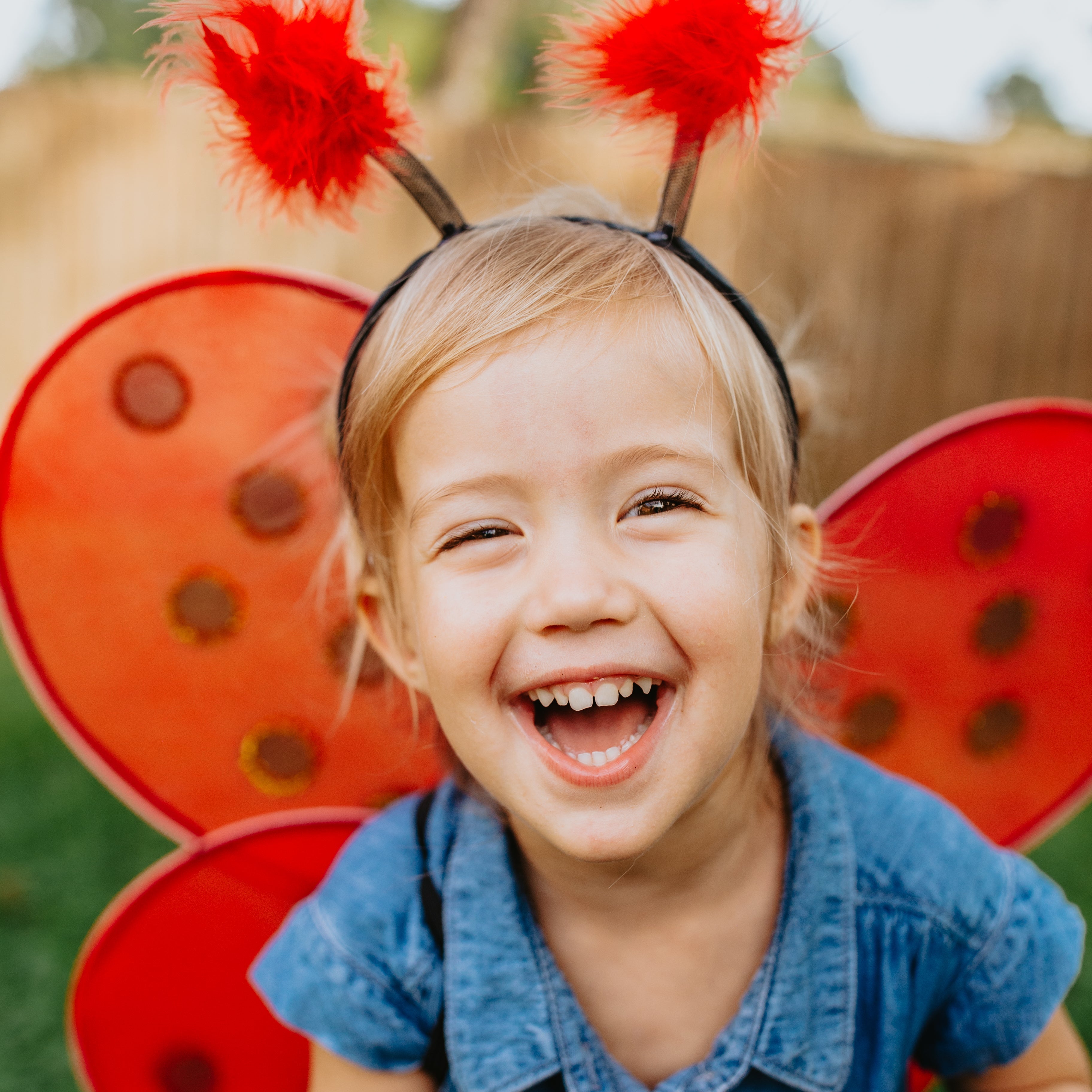Alas y Diadema de Mariquita - La Chata Merengüela