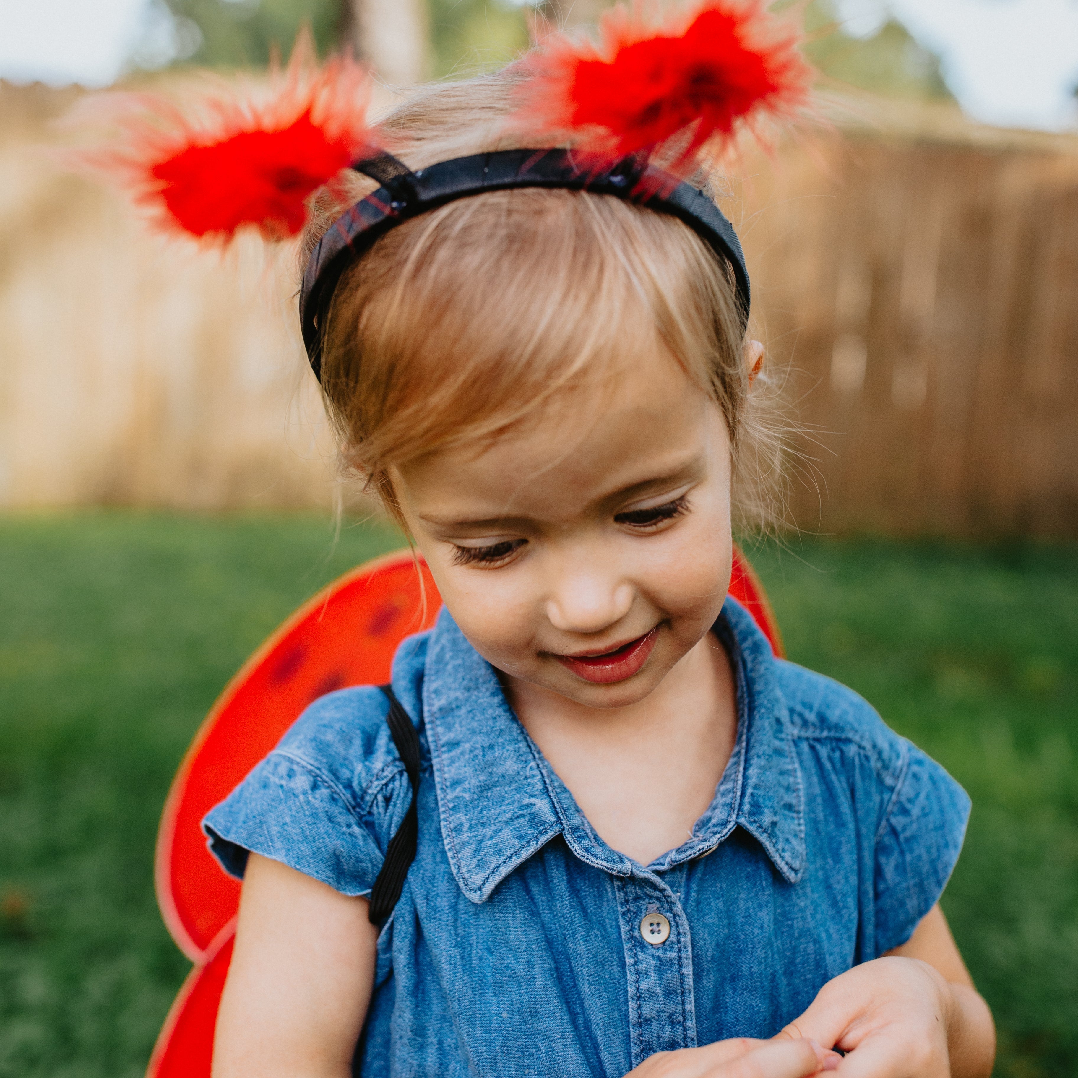 Alas y Diadema de Mariquita - La Chata Merengüela