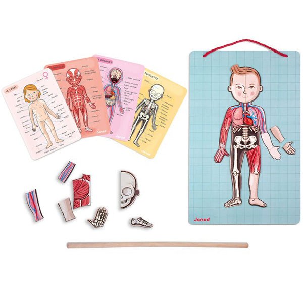Juego de Anatomía: Bodymagnet - La Chata Merengüela
