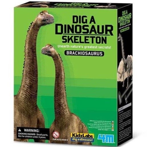 Kit Excavación Fósiles · Brachiosaurus - La Chata Merengüela
