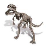 Kit Excavación Fósiles · Tirannosaurio Rex - La Chata Merengüela