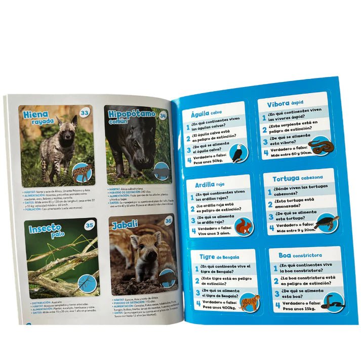 Kit globo terráqueo hinchable · El mundo de los animales - La Chata Merengüela