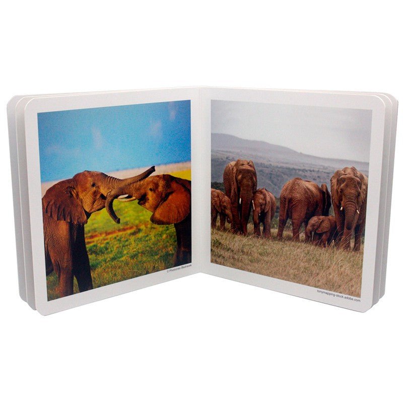 Libro de fotografías Nowordbooks · Animales en familia 2 - La Chata Merengüela