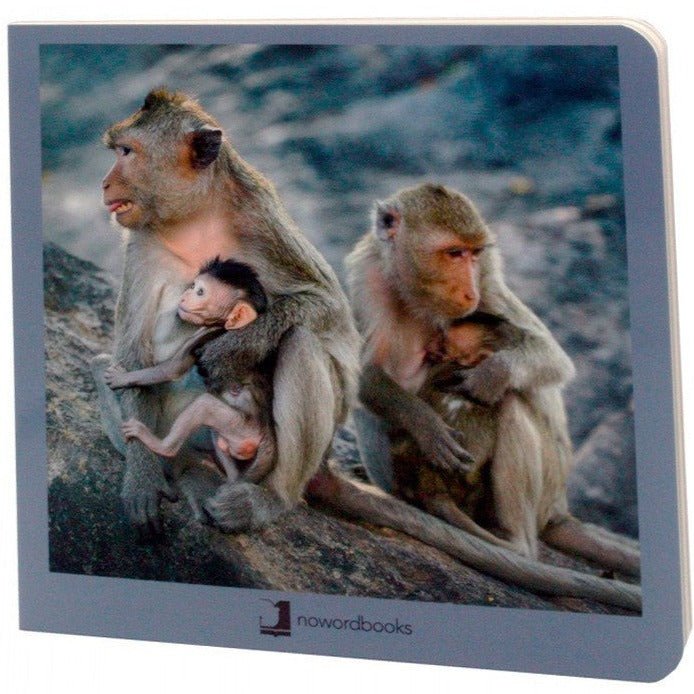 Libro de fotografías Nowordbooks · Animales en familia 2 - La Chata Merengüela