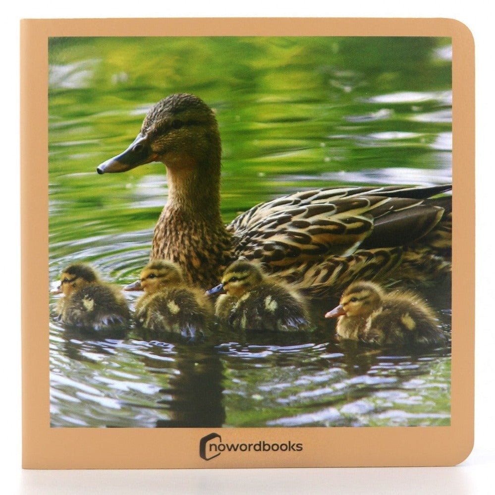 Libro de fotografías Nowordbooks · Animales en familia - La Chata Merengüela