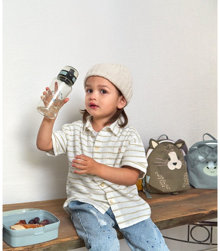 Pack Fiambrera + Botella Lässig · Dino - La Chata Merengüela
