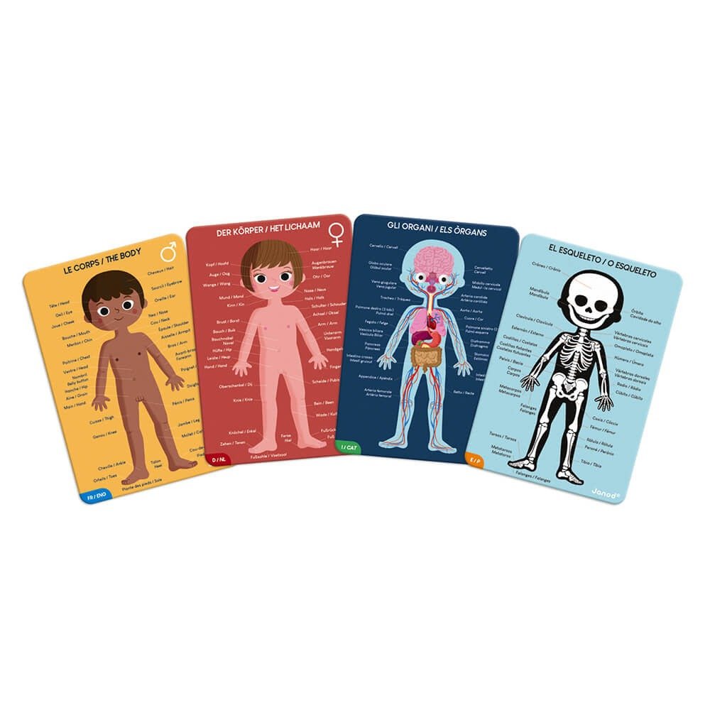 Puzzle Educativo Cuerpo Humano - La Chata Merengüela
