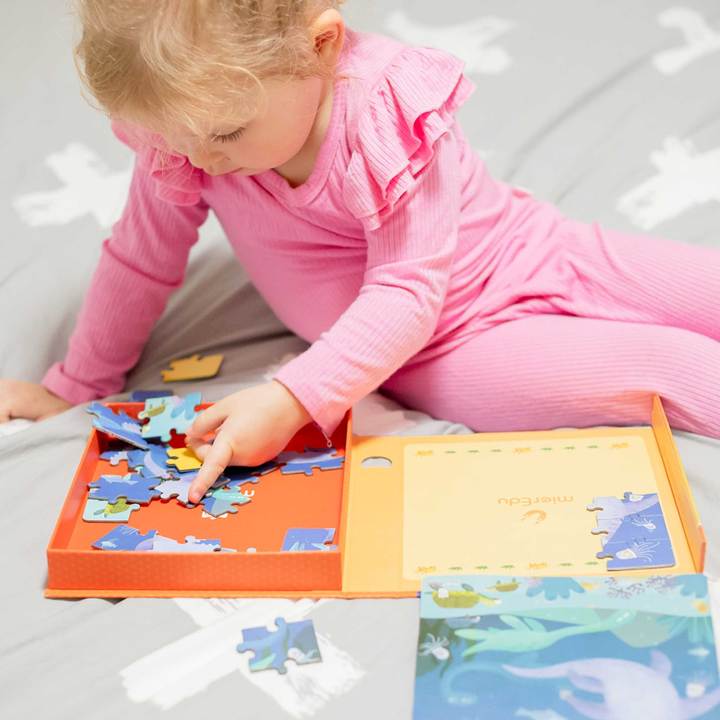 Puzzle Magnético 2 en 1: Dinosaurios - La Chata Merengüela