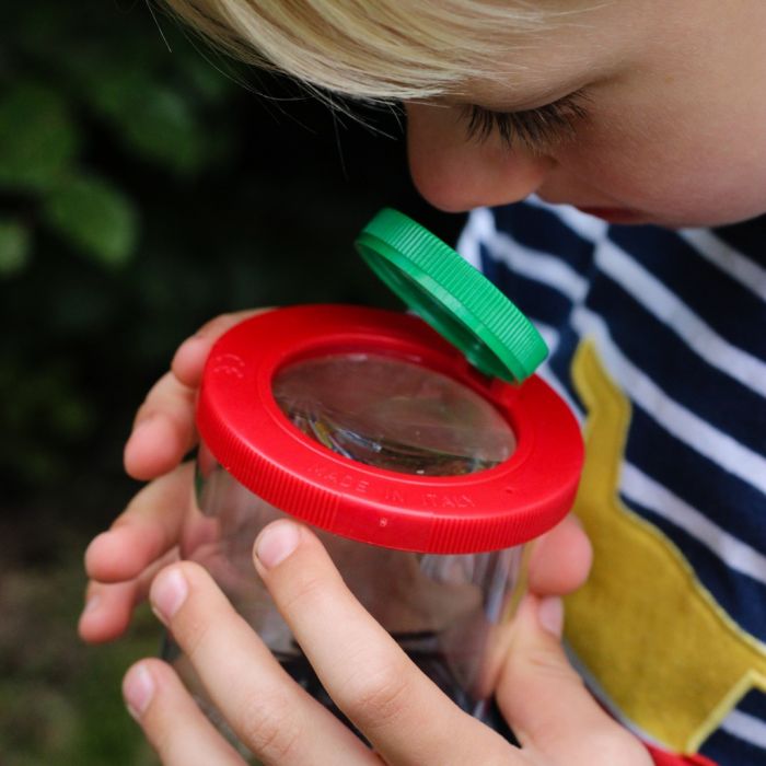 Recipiente con Lupa para Insectos - La Chata Merengüela