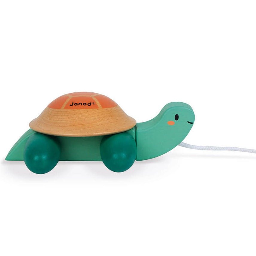 Tortuga de arrastre - La Chata Merengüela