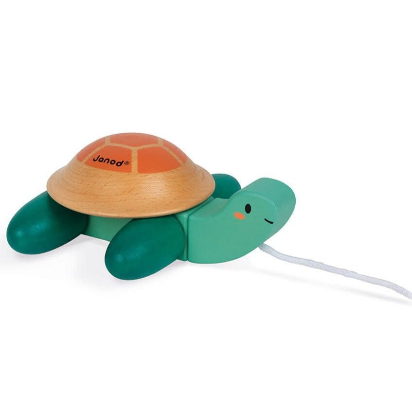Tortuga de arrastre - La Chata Merengüela