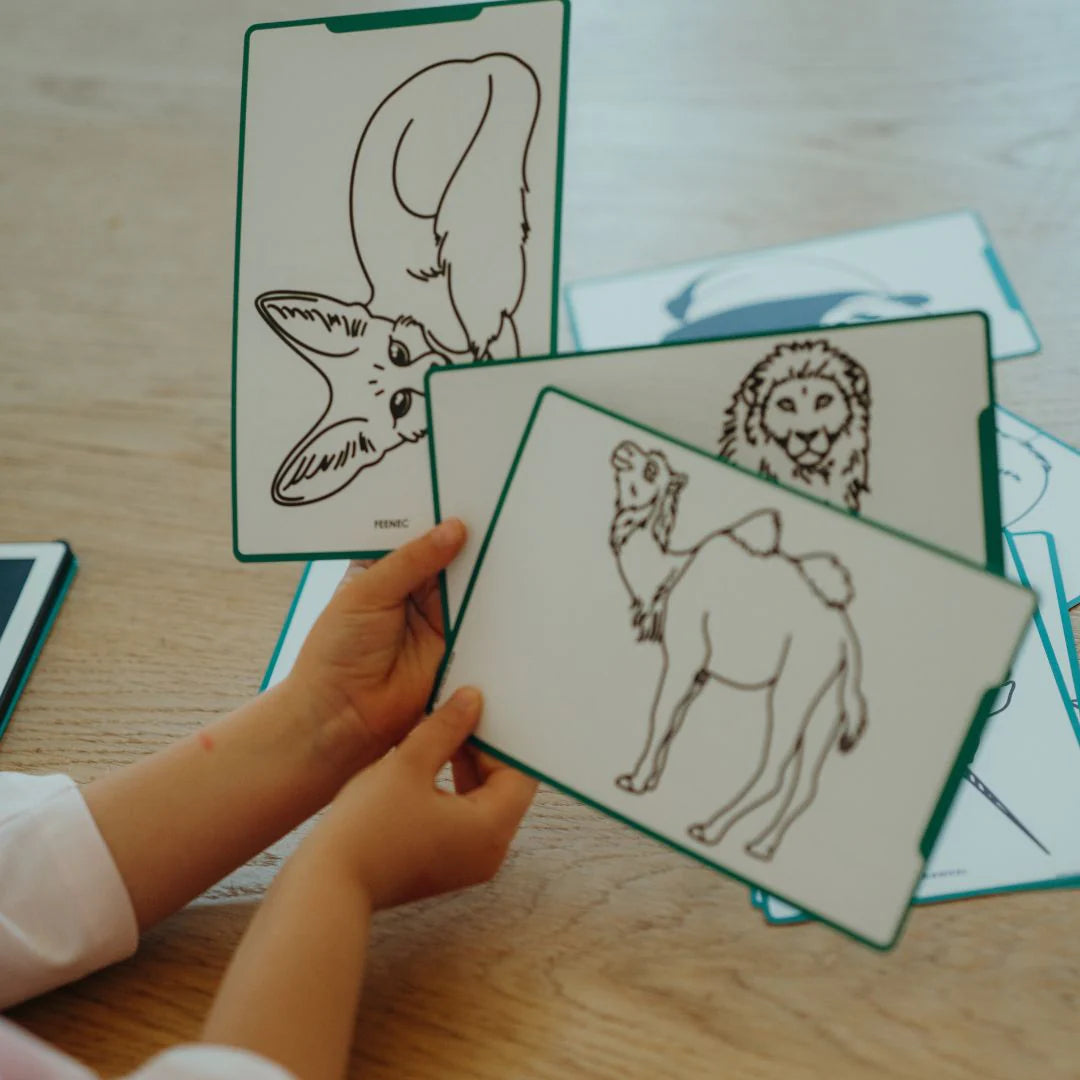 Plantillas para KIDYDRAW MINI · animales y piratas