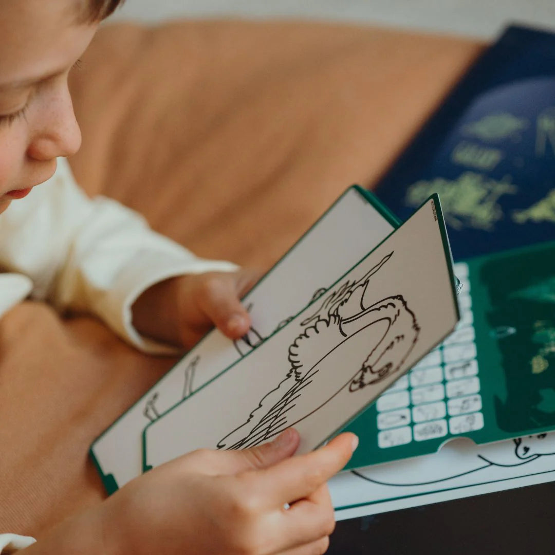 Plantillas para KIDYDRAW MINI · animales y piratas