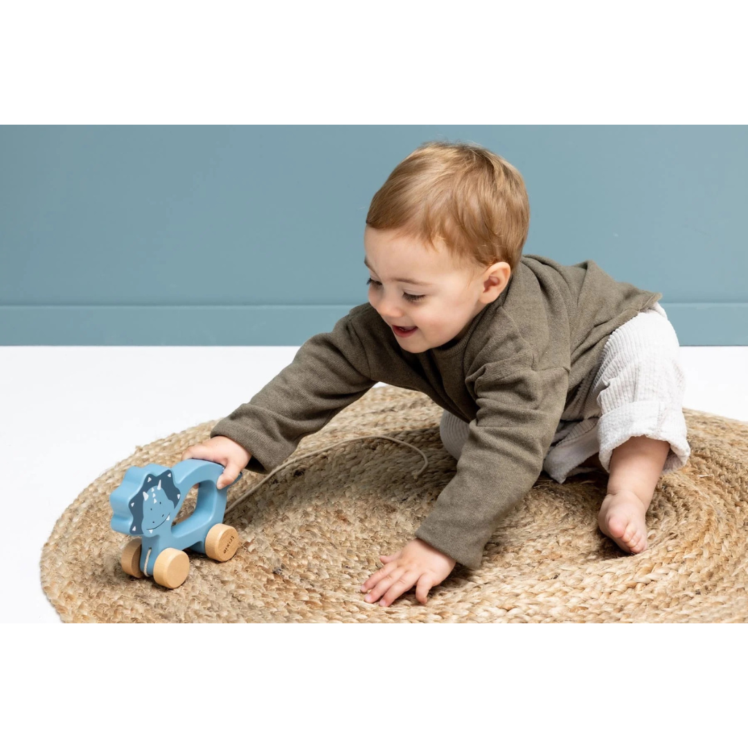 Arrastre de madera TRIXIE · mr. triceratops