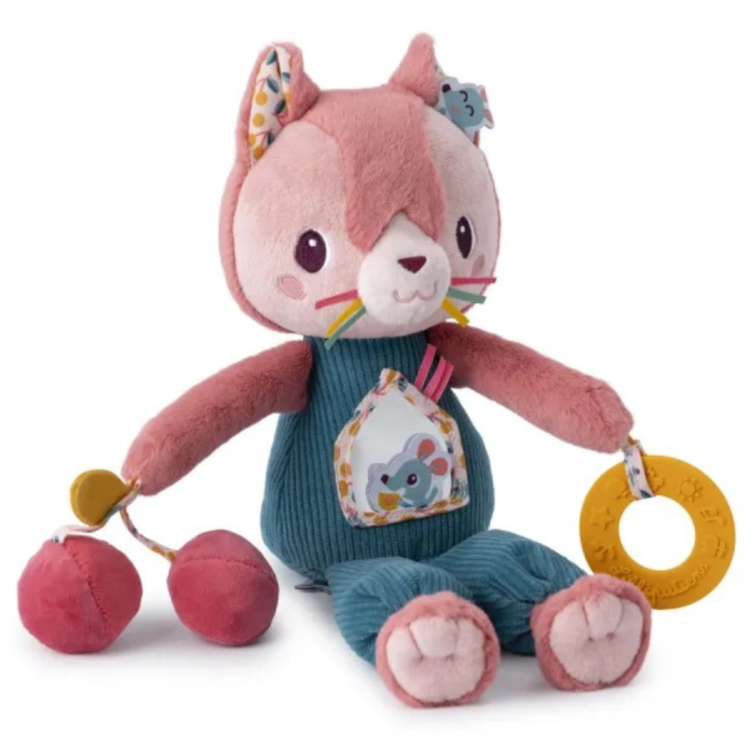 Jeanne, el gato multiactividad