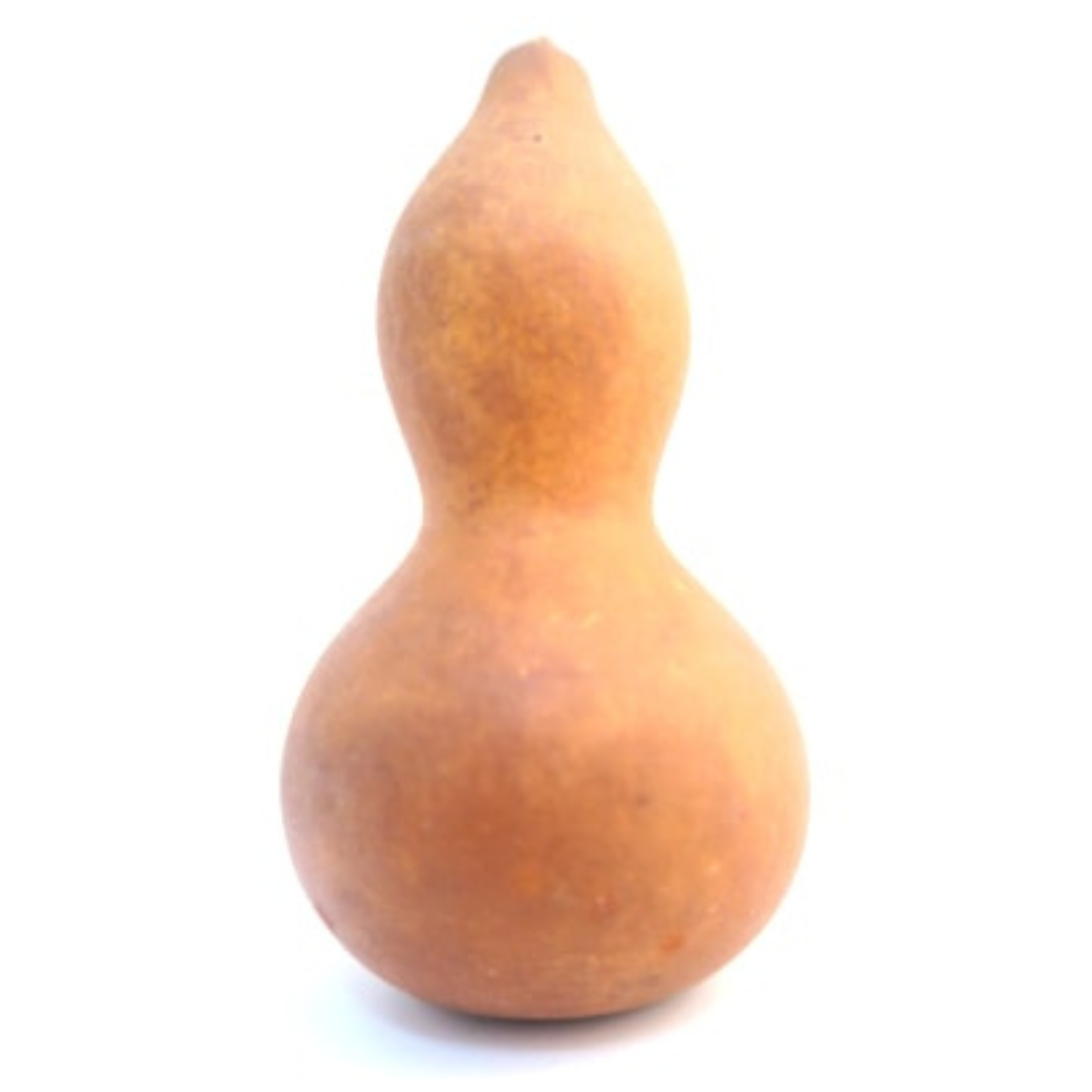 Mini calabaza seca