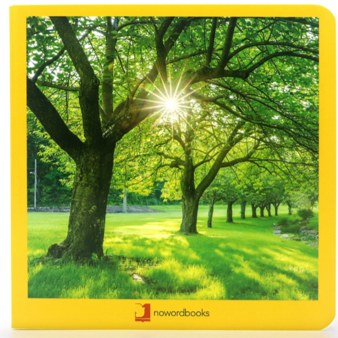 Libro de fotografías Nowordbooks · verano